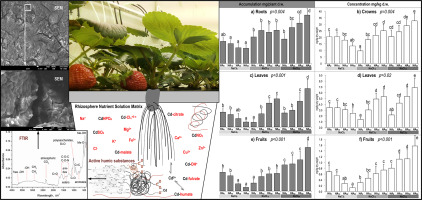 Science-of-the-total-environment-2022-1 Scientific publication in a journal "Science of The Total Environment"